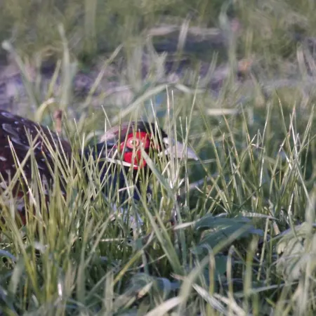 Fiori 度假居 丽都斯皮纳