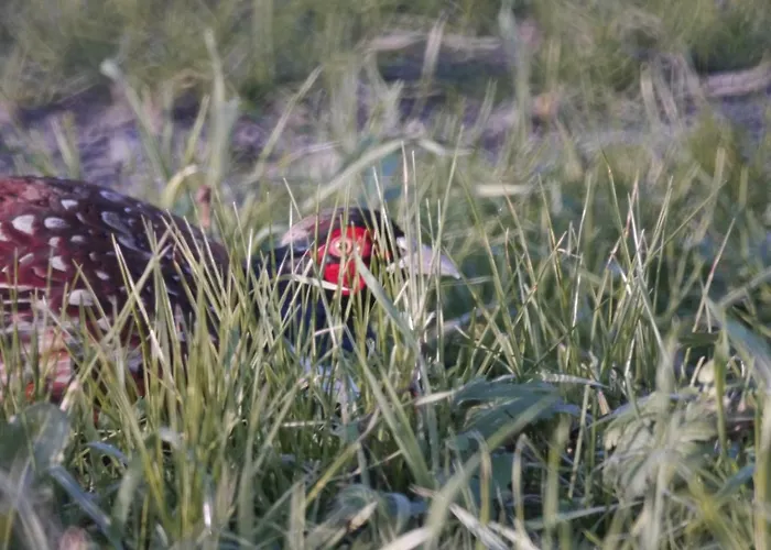 Fiori Vakantiehuis Lido di Spina
